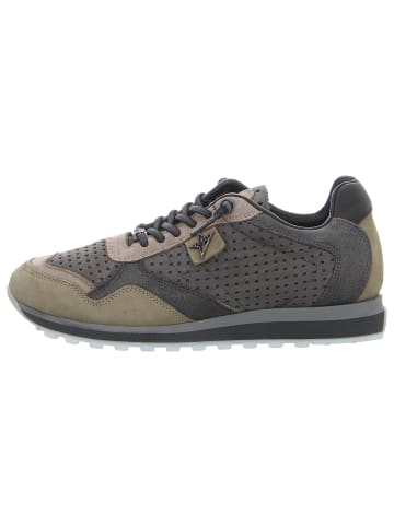 Cetti Sneaker in khaki