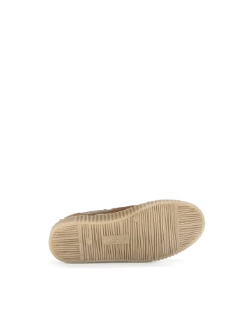 Gabor Fashion Chelsea Boots in braun