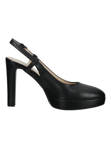 Nero Giardini Pumps in Schwarz