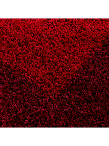 KADIMA DESIGN Teppich Hochflor Shaggy Waschbar Bordüre RHEIN Strapazierfähig in Rot