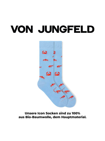 von Jungfeld Gemusterte Socken Classic & Icons Socken Bundle in Hellblau
