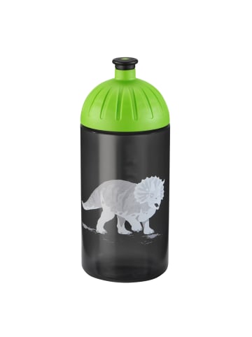 Step by Step Trinkflasche dino life