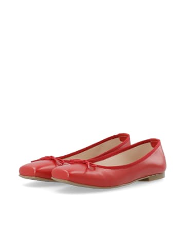 Bianco Ballerinas in Red