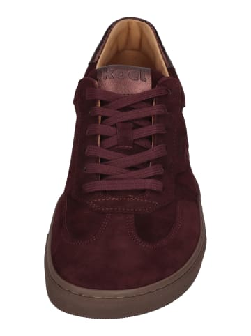 KOEL Sneaker Low HELENA SUEDE  in rot