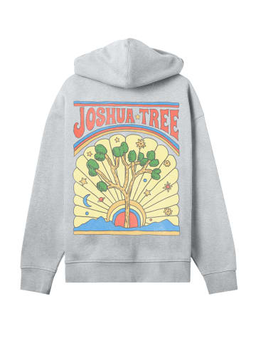 F4NT4STIC Hoodie US National Parks Joshua Tree in grau meliert