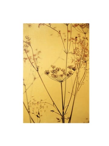 WALLART Leinwandbild Gold - Trockenblume im Lichtspiel in Braun