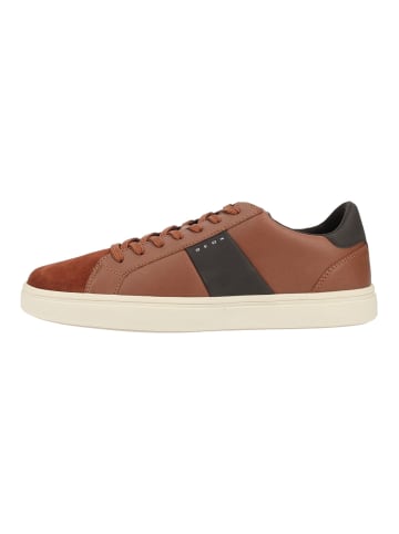 Geox Sneaker BALTMOORE in Cognac