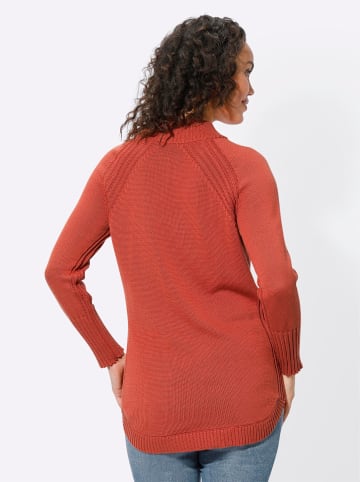 WITT WEIDEN Longpullover in terra
