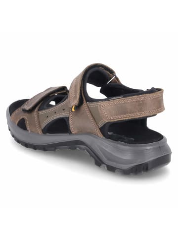 Beliano Sandalette in braun