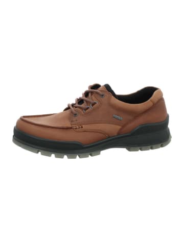 Ecco Outdoorschuh in braun