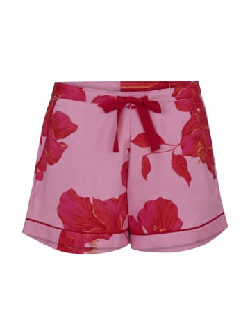 Cyberjammies Pippa Shorts Nachtwäsche in pink
