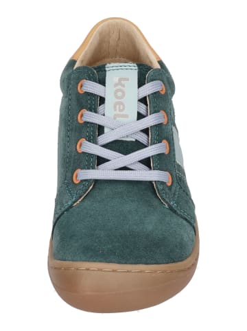 KOEL Sneaker Low BLAKE SUEDE in türkis