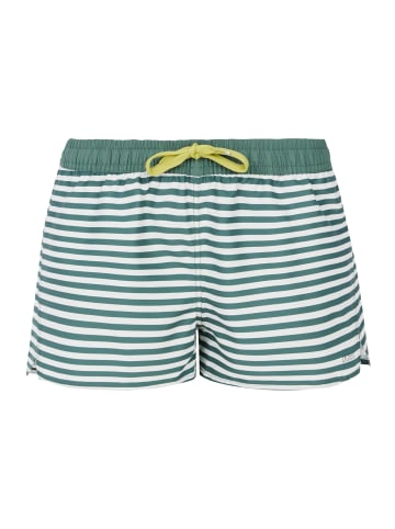 Protest " PRTCamilo in Veggie Green