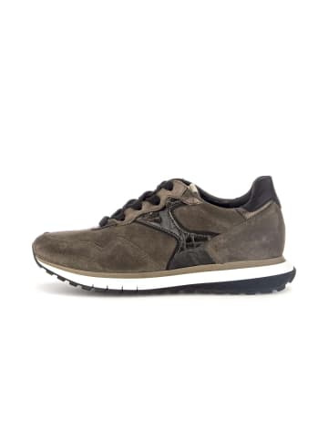 Gabor Comfort Sneaker low in braun