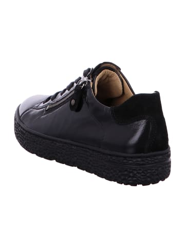 Hartjes Komfort Schnürschuhe in Schwarz