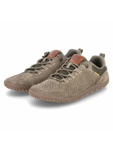 Camel Active Schnürhalbschuh in khaki