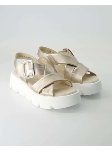Gabor Sandalen in Gold