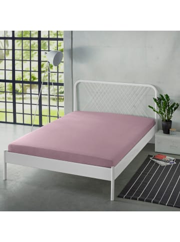 Erwin Müller Single-Jersey Spannbettlaken Freising in mauve