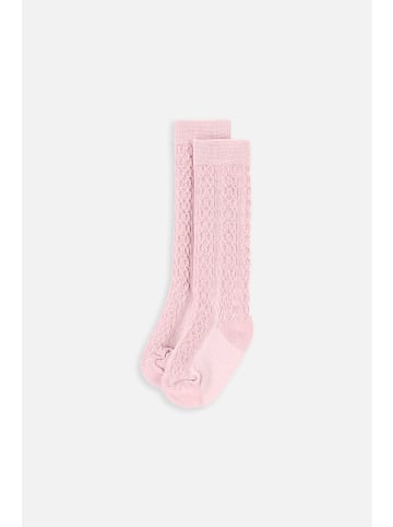 Coccodrillo Socken in gedämpftes Rosa