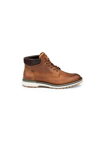 LLOYD Schnürstiefelette VARAS in cognac/brown