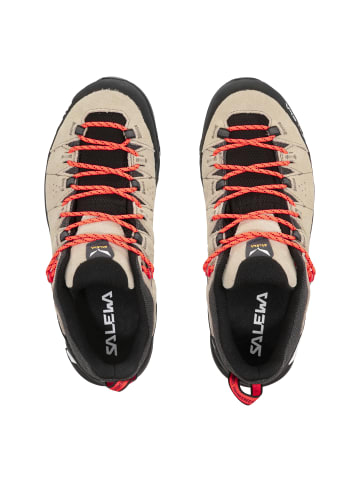 Salewa ALP TRAINER 2 W in Diamant7265