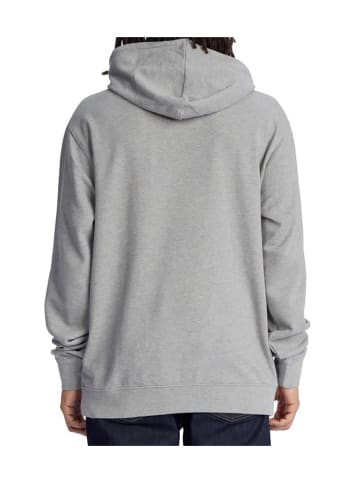 DC Shoes Sweatshirt in Grau