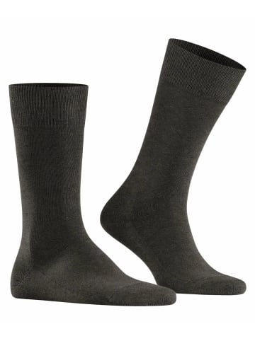 Falke Socken 1er Pack in Dunkelbraun