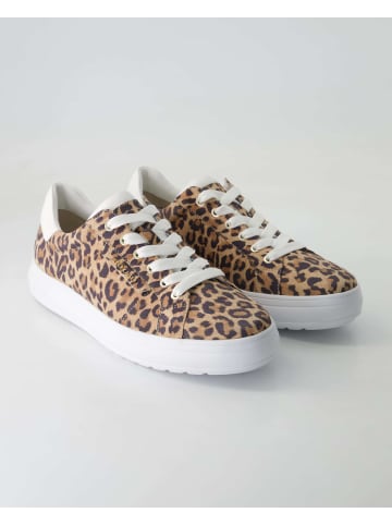 PETER KAISER Sneaker low in Braun