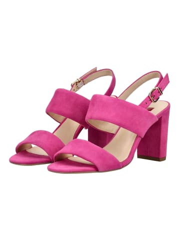 Högl Sandalen in Pink