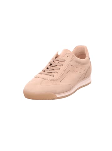 Gabor Schnürschuh in Beige