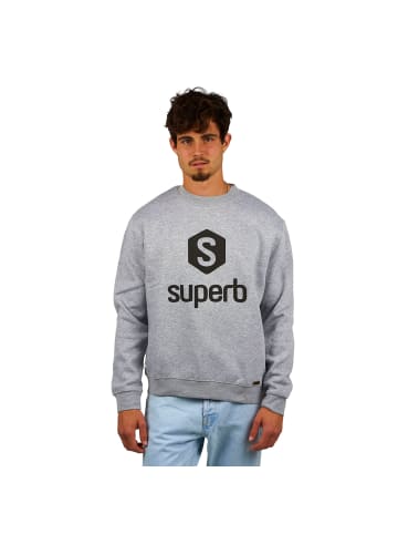 Superb Sweatshirt in Gray