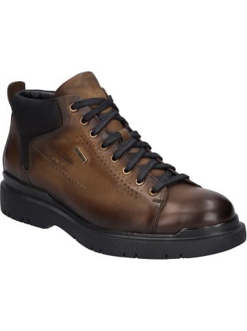 Josef Seibel Halbschuh Dalton 52 in castagne