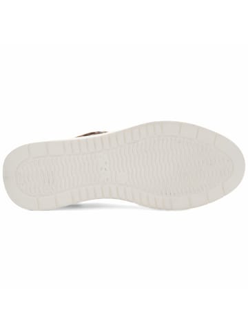 ara Sneaker für Herren in creme