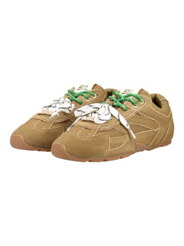 Steve Madden Sneaker ASIEL in Khaki