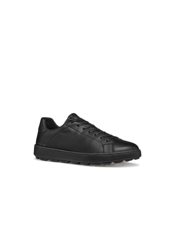 Geox Sneaker in schwarz