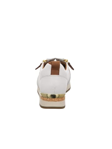 Gabor Sneaker in latte