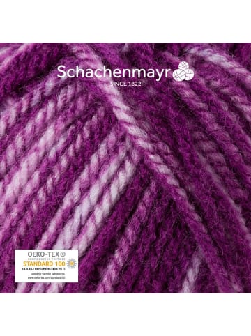 Schachenmayr since 1822 Handstrickgarne Bravo Color, 50g in Violett Denim