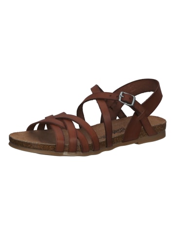 Cosmos Comfort Sandalen in Kastanie