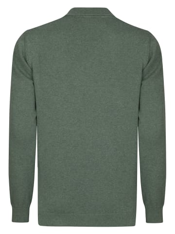 Felix Hardy Polo Kragen Langarm Pullover in Grün