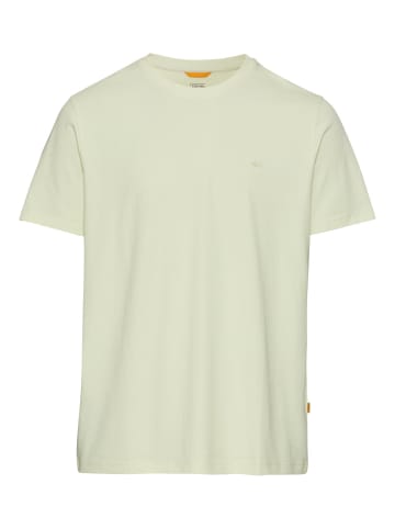 Camel Active Basic T-Shirt aus reiner Baumwolle in Hellgrün