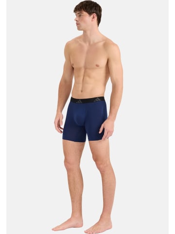 Adidas Sportswear Long Short / Pant Active Flex Cotton in Schwarz / lila / rot