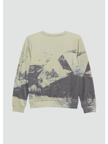 s.Oliver Sweatshirt in 78D0_tannengrün