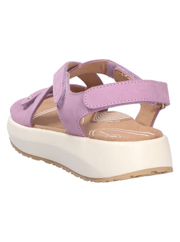 Joya Sandale JENNY LIGHT PURPLE in rosa/pink