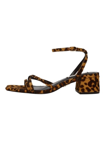 Steve Madden Sandalen in Leopard
