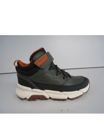 Geox Sneaker high Flexyper in Grün