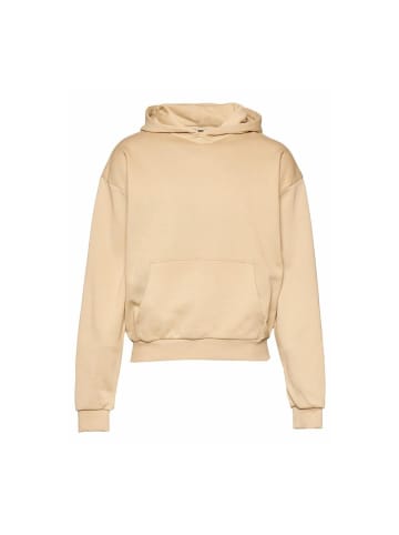 Just Rhyse Hoodie "Jrhd497m GoFurther Hoody" in Beige