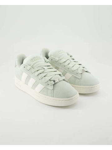 adidas Sportliche Schnürschuhe in Grün