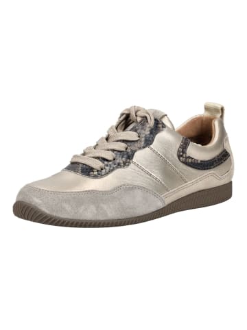 Paul Green Sneaker in Stone