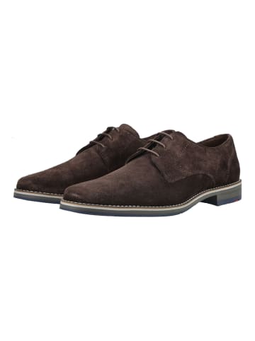 LLOYD Businessschuhe DRIFT 110 Dunkelbraun