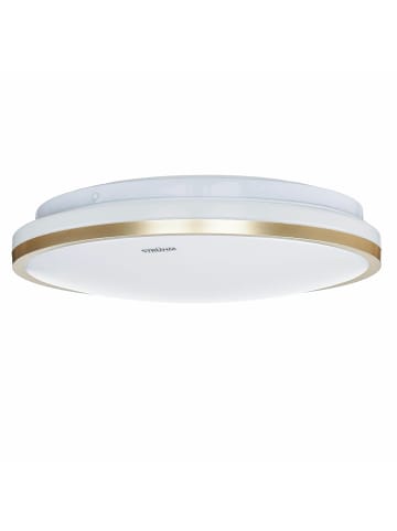 Licht-Erlebnisse Deckenlampe EEK F Ø 28 x (H)6.5 cm in Weiß Gold
